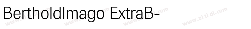 BertholdImago ExtraB字体转换